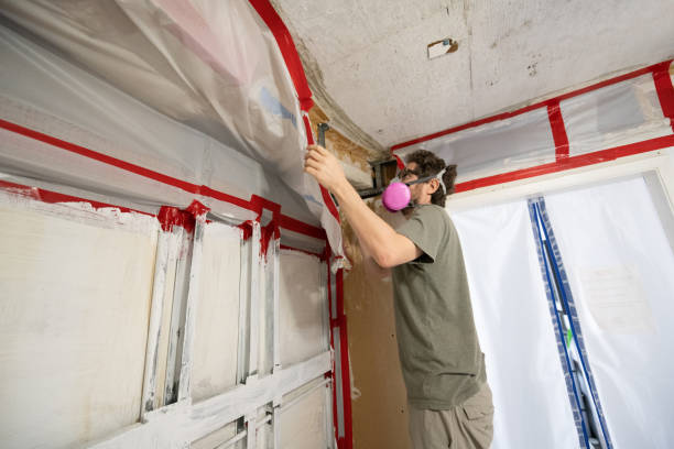 Best Mold Odor Removal Services  in USA